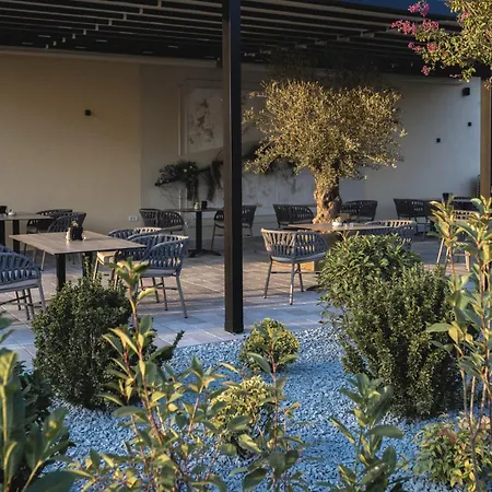 Ξενοδοχείο Ramina Τιμισοάρα